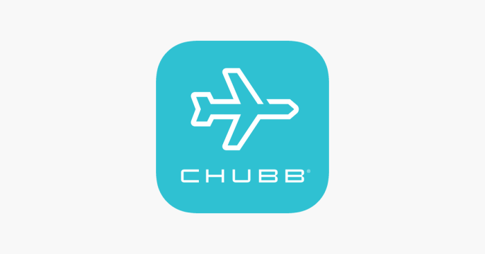 ‎Chubb Travel Smart on the App Store