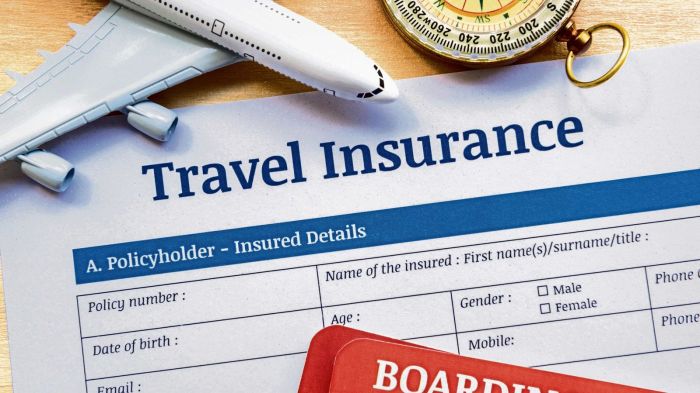 How to choose the right travel insurance during covid-19 | Mint
