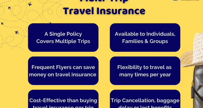 Business Travel Insurance for Multi-Trip Frequent Flyers - OnShoreKare