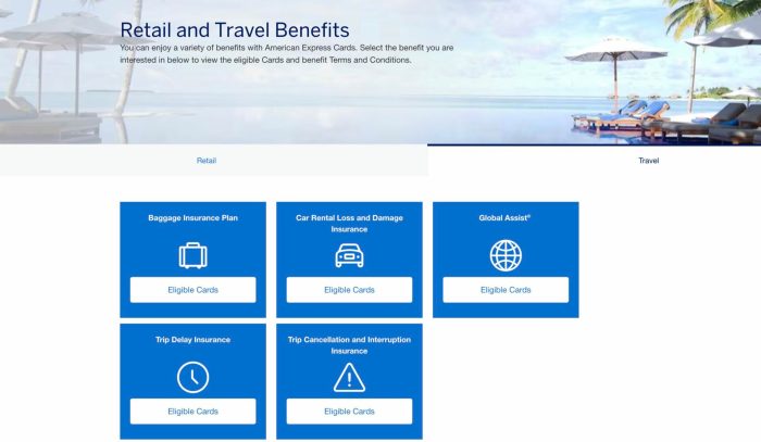 Amex Platinum: Full List of Travel Insurance Benefits [2025]
