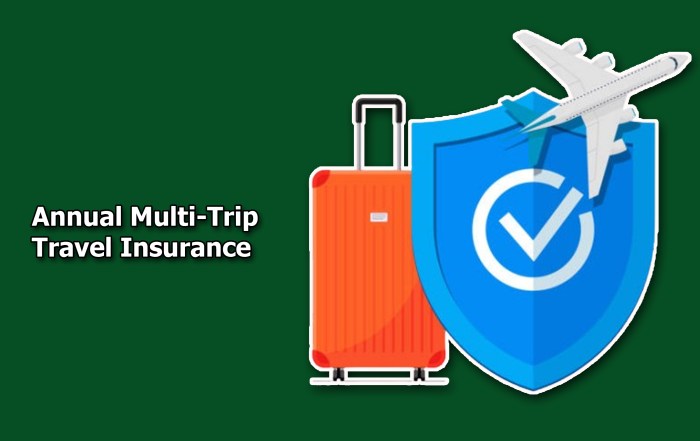 Annual Multi-Trip Travel Insurance - kttpharm