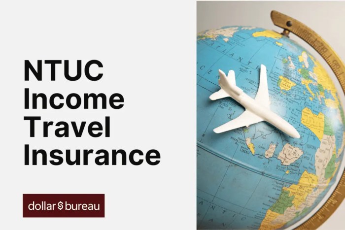Income Travel Insurance Review: Best Pre-Existing Conditions Plan?