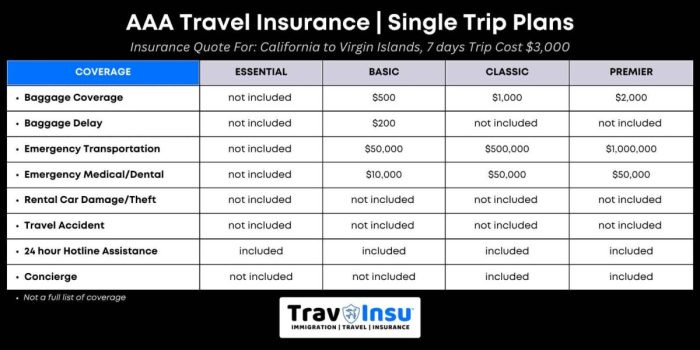 Guide to Travel Insurance Options for AAA Members - TravInsu